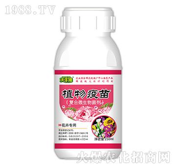 ֲ磨܌(zhun)ͣ-S¡-(qing)