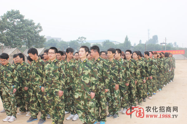 團隊