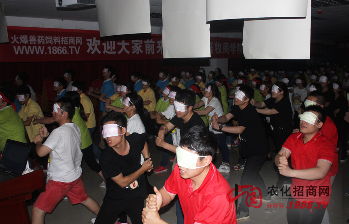 在逆境中成長,在團(tuán)隊(duì)中歷練