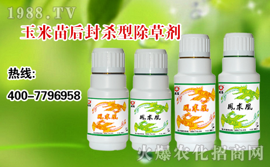 【順天農(nóng)業(yè)】祝大家:幸福萬(wàn)年長(zhǎng),快樂無(wú)邊疆,好運(yùn)更健康!