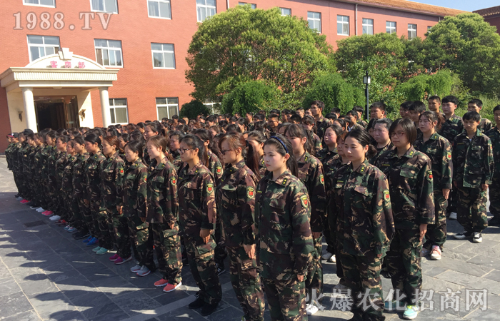 在訓練中體悟,在體悟中受益,在受益后帶入工作