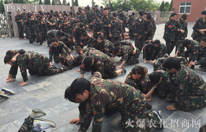 在訓練中體悟,在體悟中受益,在受益后帶入工作