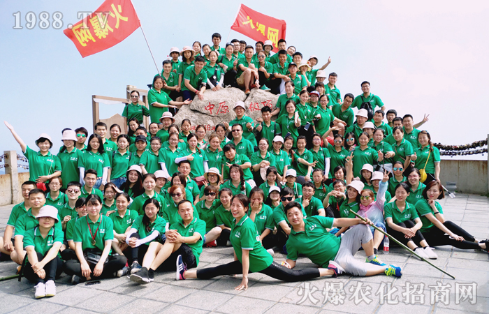 踏實無悔 穩(wěn)步前進