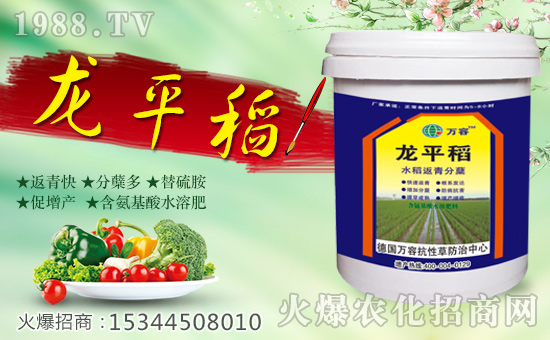 【德國(guó)萬(wàn)容】全體員工恭祝全國(guó)經(jīng)銷商身體健康,狗年發(fā)大財(cái)!