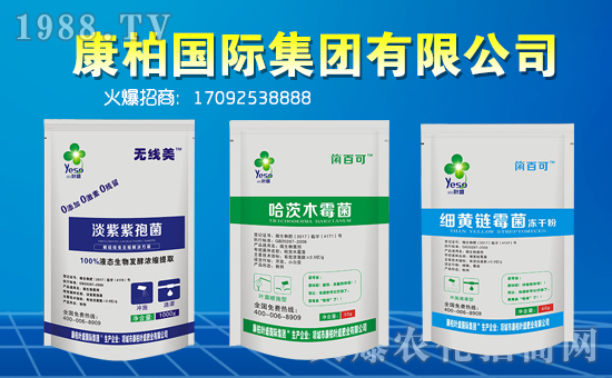 【康柏國際】祝福一路相伴的朋友們在新的一年里幸福美滿,闔家歡樂!