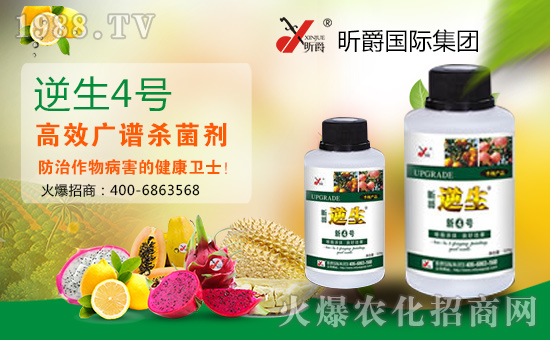 張燈結(jié)彩新春到,鞭炮聲聲人歡笑。開開心心無煩惱,順順利利事業(yè)高!值此新春佳節(jié)來臨之際,昕爵國際集團(tuán)祝大家在新的一年里財源滾滾來!