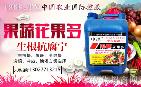 【中國(guó)農(nóng)業(yè)國(guó)際控股】祝您合家歡樂、萬事如意!