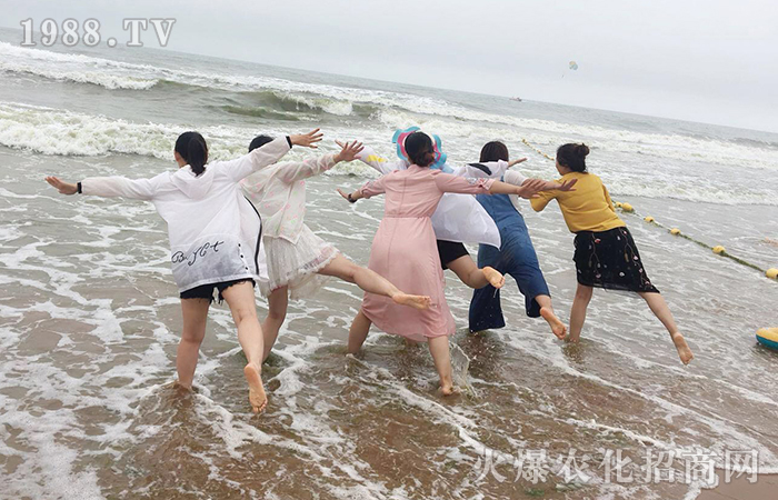 看碧海藍天,賞異國風(fēng)情——2018青島踏浪之旅