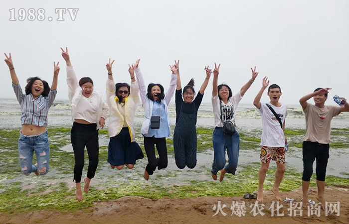 海風里的似水流年