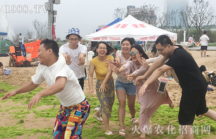 紅瓦綠樹(shù)、碧海藍(lán)天;玩沙戲水,放飛自我!