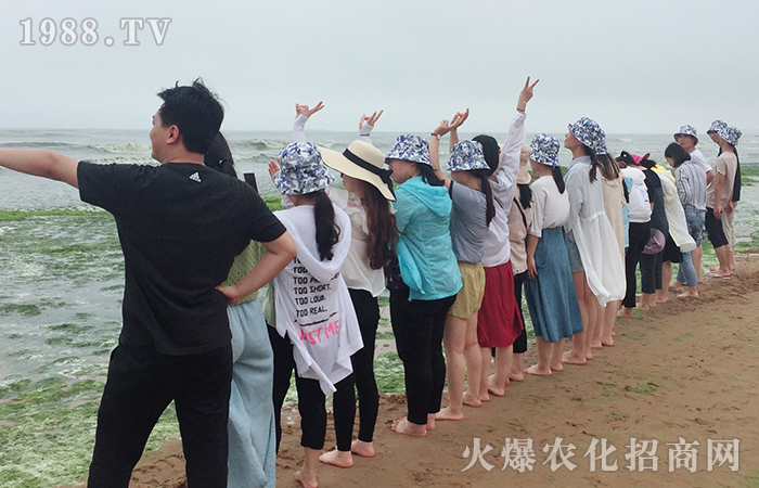 紅瓦綠樹(shù)、碧海藍(lán)天;玩沙戲水,放飛自我!