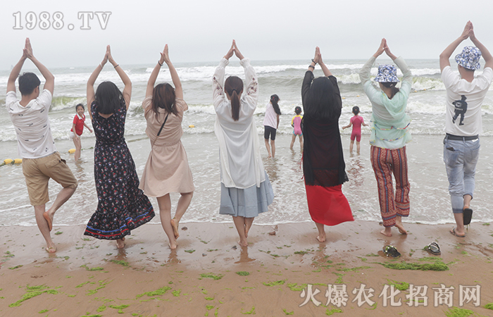 紅瓦綠樹(shù)、碧海藍(lán)天;玩沙戲水,放飛自我!