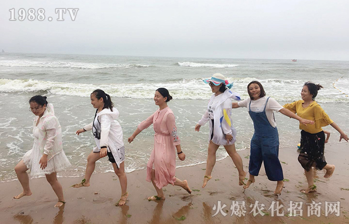 用心去愛,用力微笑;用心生活,用力工作;火爆網給您不一樣的七月
