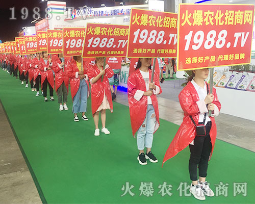 2018r(nng)Y1988.TVȫԸ