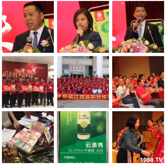 tƻףٸRT´