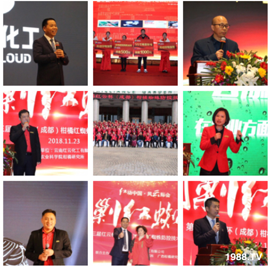 tƻףٸRT´