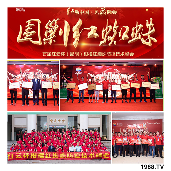 tƻףٸRT´