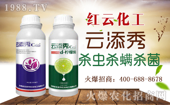 tƻףٸRT´