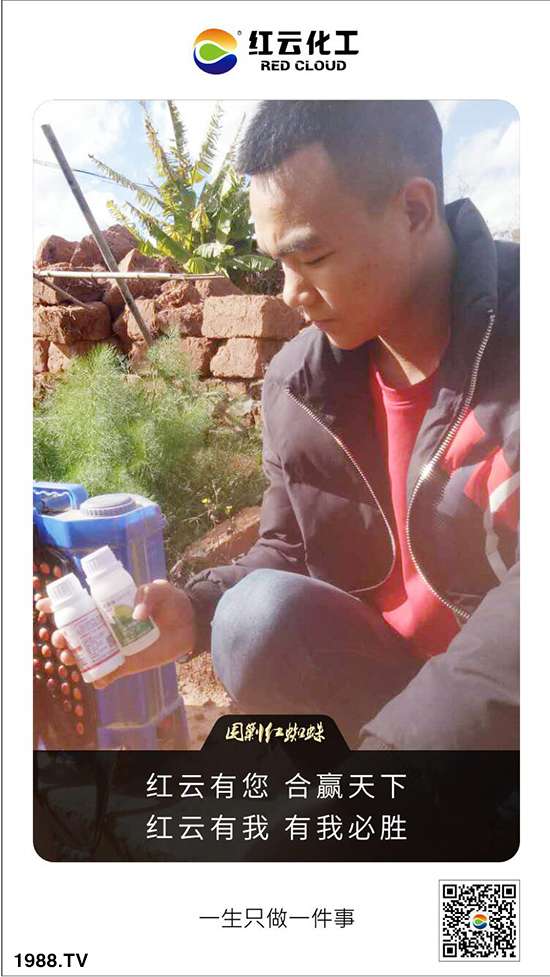 tƻףٸRT´
