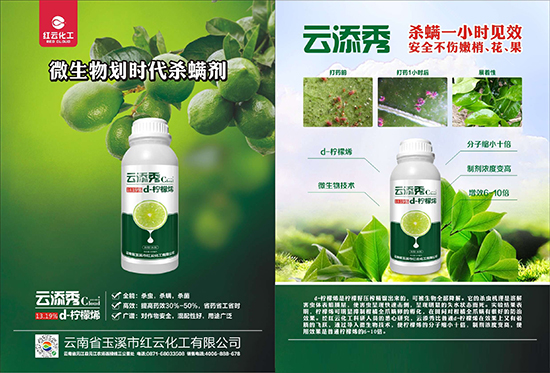 tƻףٸRT´