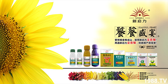 【廣西新啟力】祝大家在新的一年里身體健康,萬(wàn)事如意!