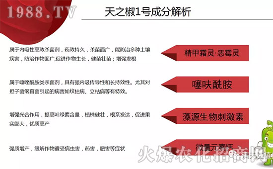 【河南滿(mǎn)天紅】祝大家在新的一年里工作順利,步步高升!
