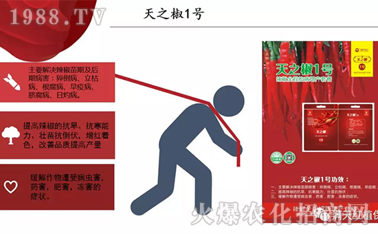 【河南滿(mǎn)天紅】祝大家在新的一年里工作順利,步步高升!