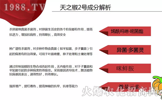 【河南滿(mǎn)天紅】祝大家在新的一年里工作順利,步步高升!