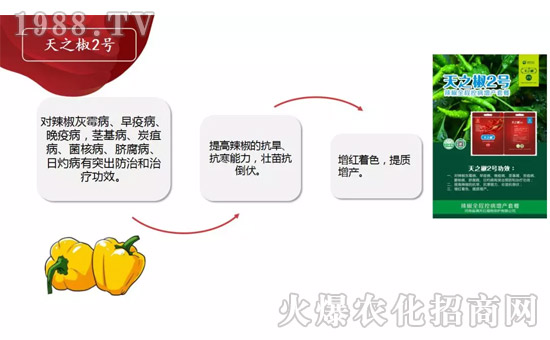 【河南滿(mǎn)天紅】祝大家在新的一年里工作順利,步步高升!