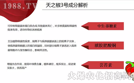 【河南滿(mǎn)天紅】祝大家在新的一年里工作順利,步步高升!