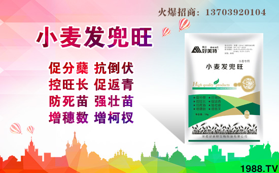 【好美特生物】全體員工祝大家新春快樂(lè),步步高升!