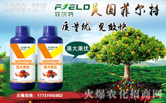 【菲爾特】祝全國(guó)經(jīng)銷商朋友們身體健康,工作順利!