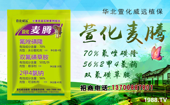 滯h(yun)ףµһ(li)wf(wn)