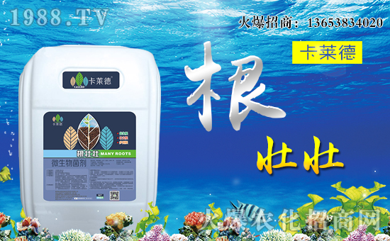 【卡萊德農業(yè)】全體員工恭祝全國經銷商身體健康,萬事如意!