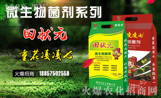 【田狀元化工】祝全國(guó)經(jīng)銷商豬年大吉,萬事如意!