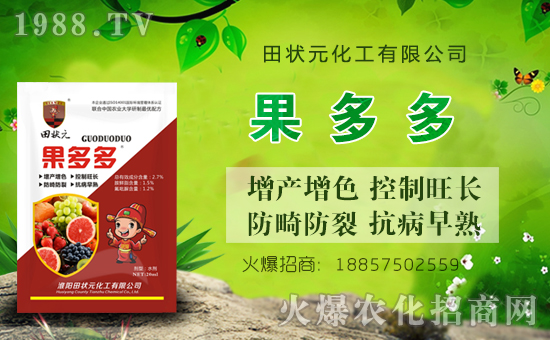 【田狀元化工】祝全國(guó)經(jīng)銷商豬年大吉,萬事如意!