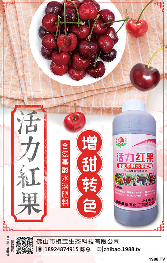 冬小麥播種需要注意些什么?常見(jiàn)冬小麥播種誤區(qū)