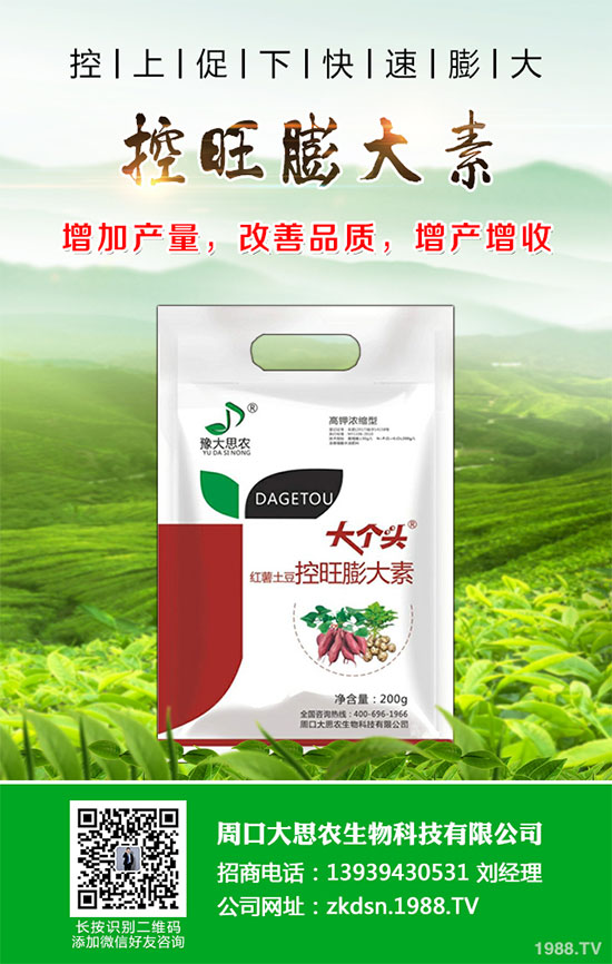 冬小麥播種后出苗不齊是怎么回事?小麥出苗不好預(yù)防措施!