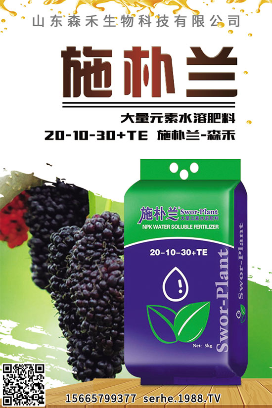 小白菜該怎么播種?秋茬小白菜高產(chǎn)栽培技術
