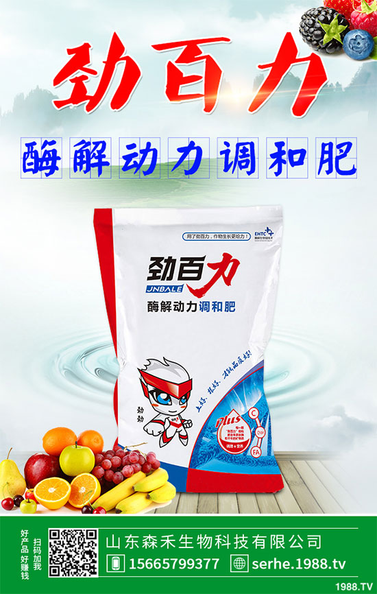小白菜該怎么播種?秋茬小白菜高產(chǎn)栽培技術