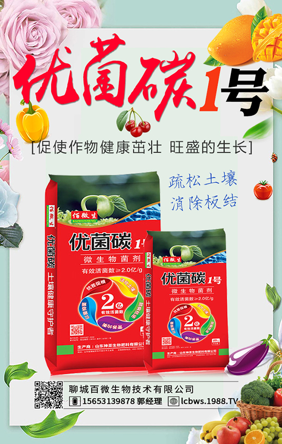 聊城百微生物技術有限公司1