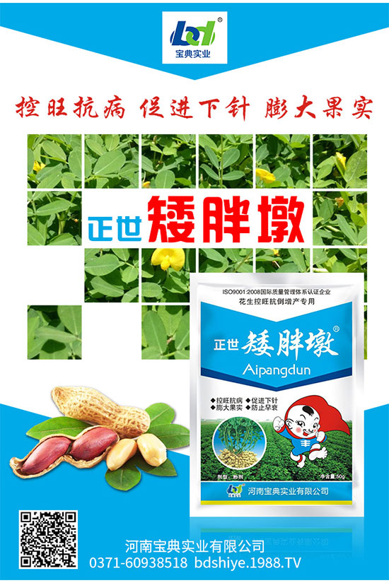 蓮霧怎么種植?蓮霧種植的技術要求有哪些?