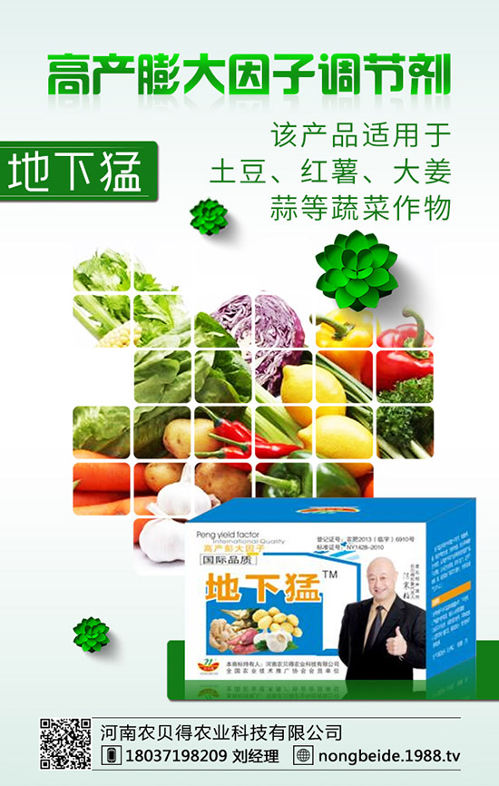 有機大白菜的種植要點您知道嗎?有機大白菜種植技術(shù)!