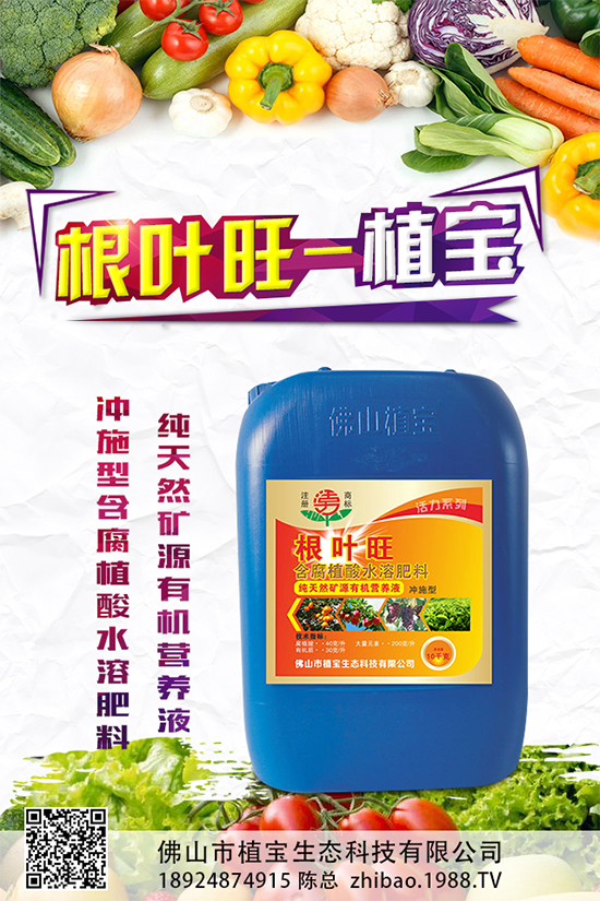 越冬茄子該如何施肥?冬茬茄子施肥技術(shù)要點