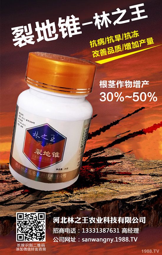 ѹôѹδʩ