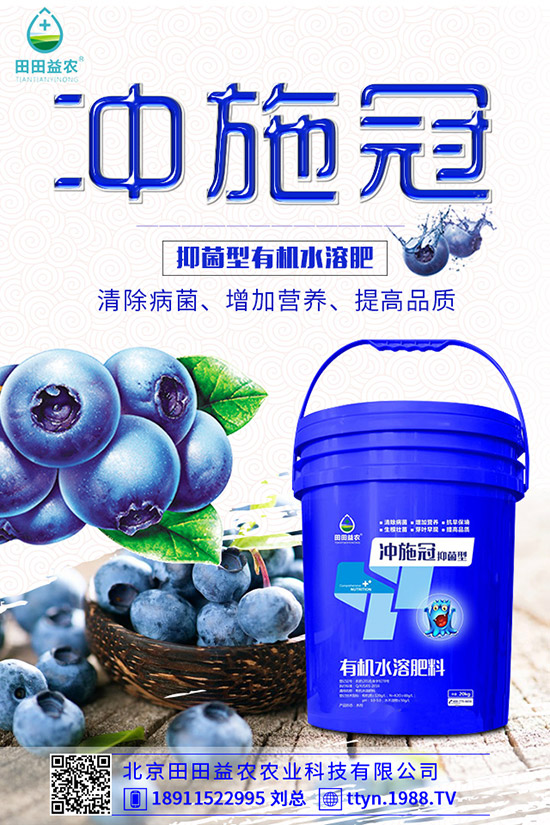 南瓜什么時候種植,南瓜的種植要點(diǎn)有哪些?