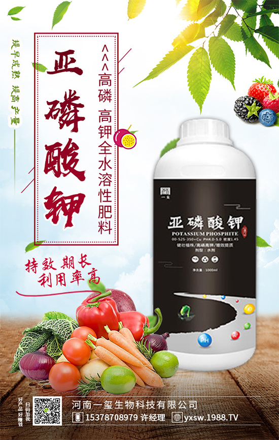 黃瓜畸形有哪幾種?黃瓜尖嘴瓜發(fā)生原因及預(yù)防措施!