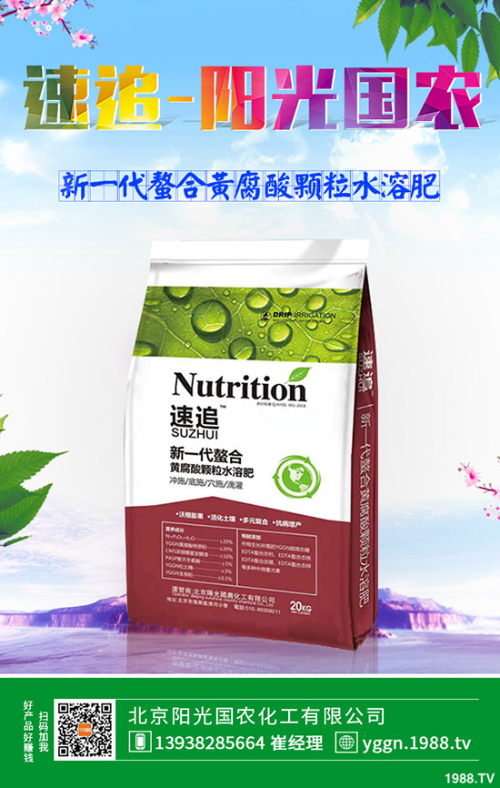 復(fù)肥成交持續(xù)清淡!近期復(fù)合肥價(jià)格行情走勢(shì)預(yù)測(cè)2019-11-18