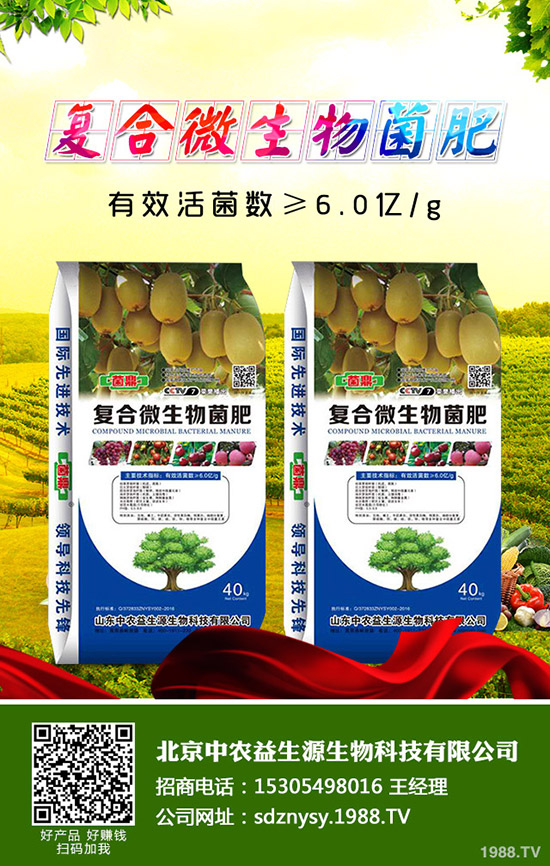 一銨行情下降減緩!2019年11月2日今日一銨主流出廠參考價(jià)格!