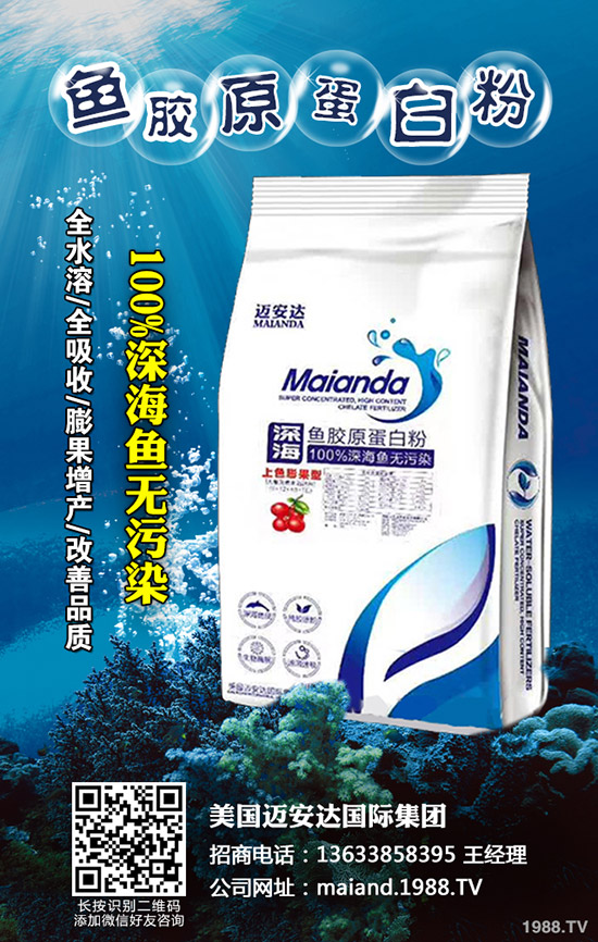     2020㹽NֲٍXôǰNֲƷN]